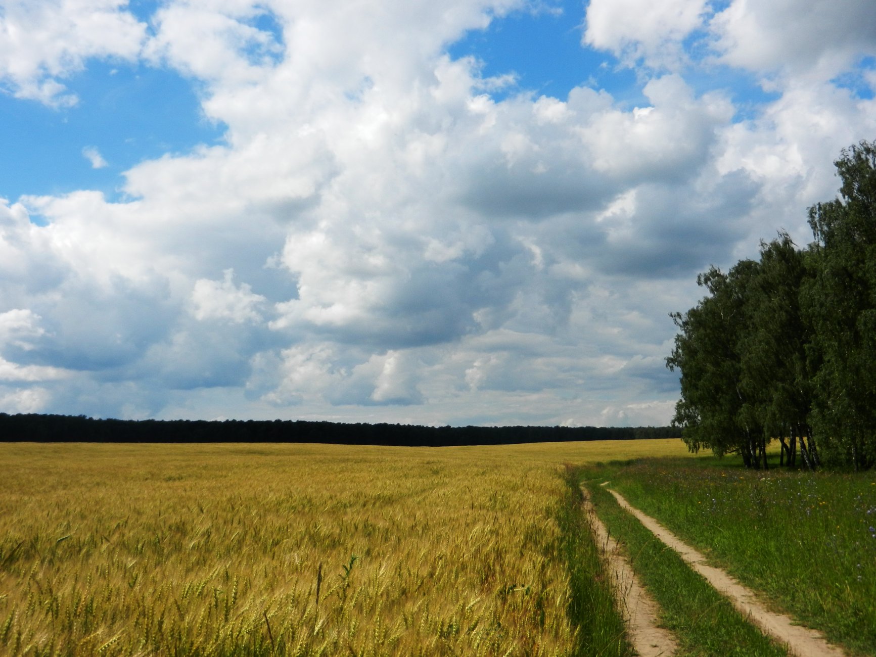 DSCN1703.JPG
