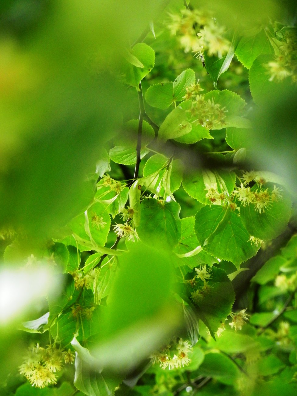 DSCN1742.JPG