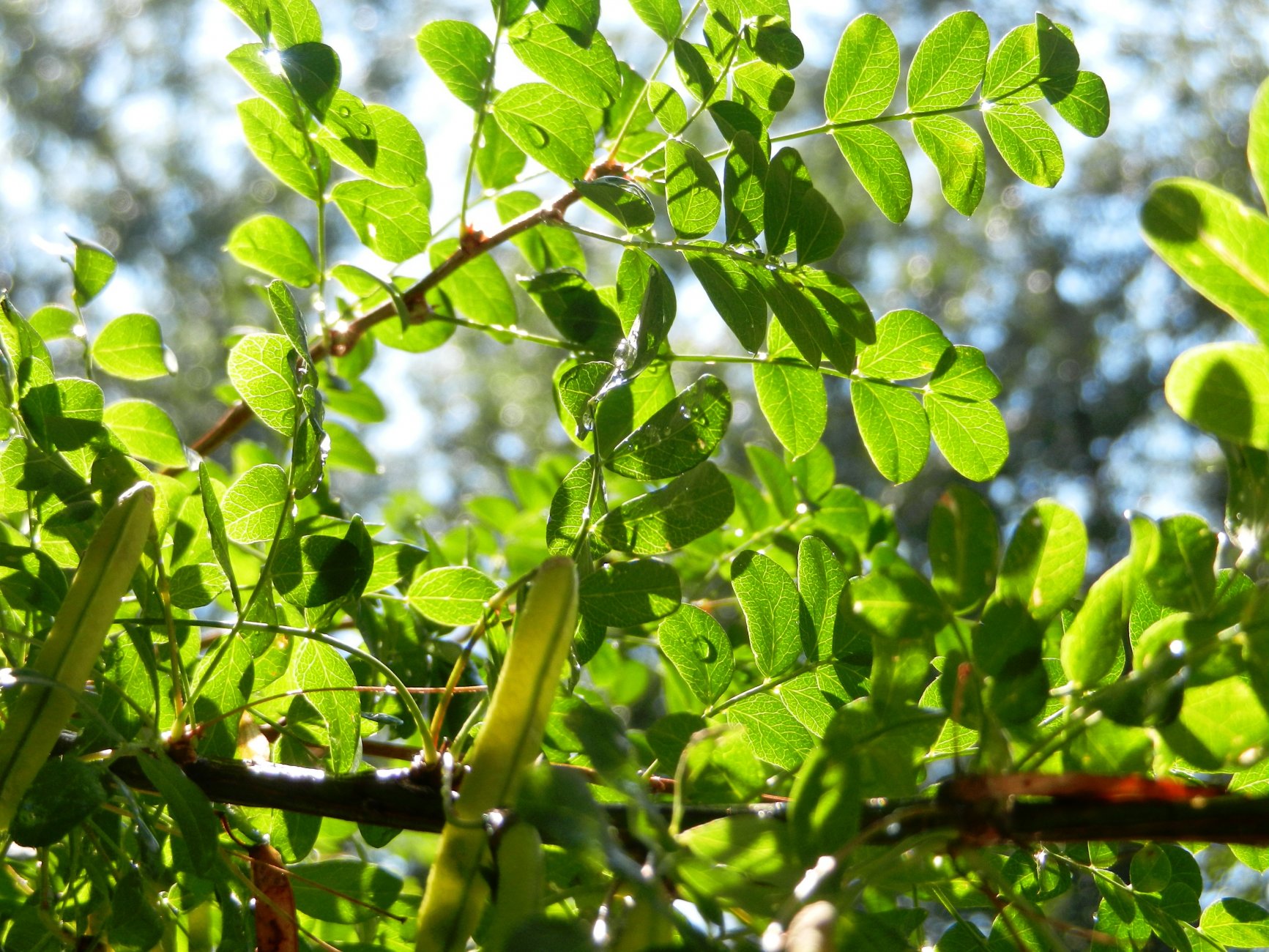 DSCN1755.JPG