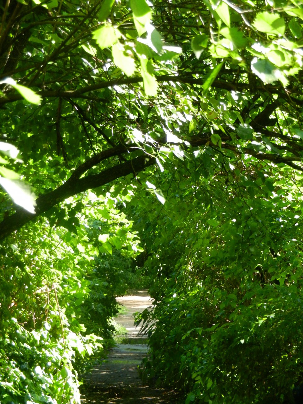 DSCN1760.JPG