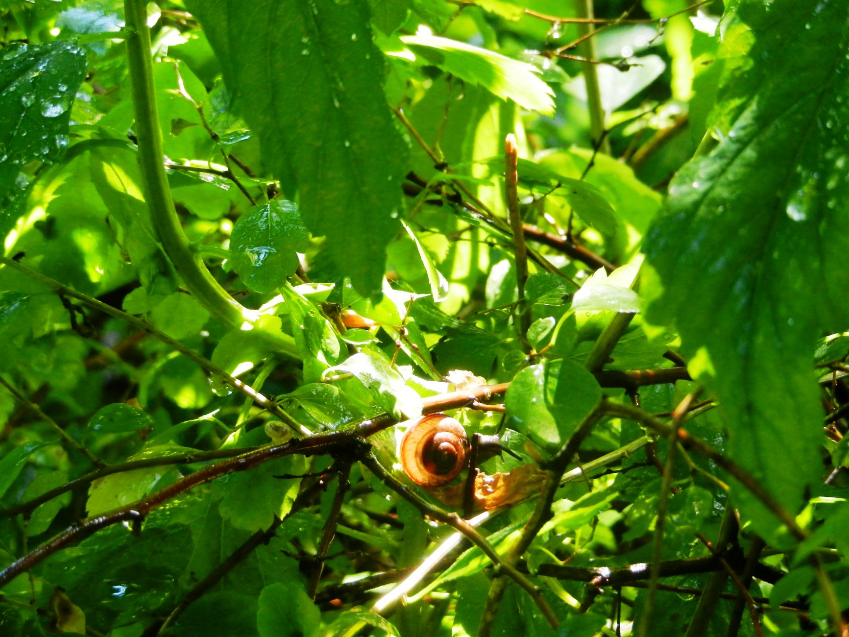 DSCN1763.JPG