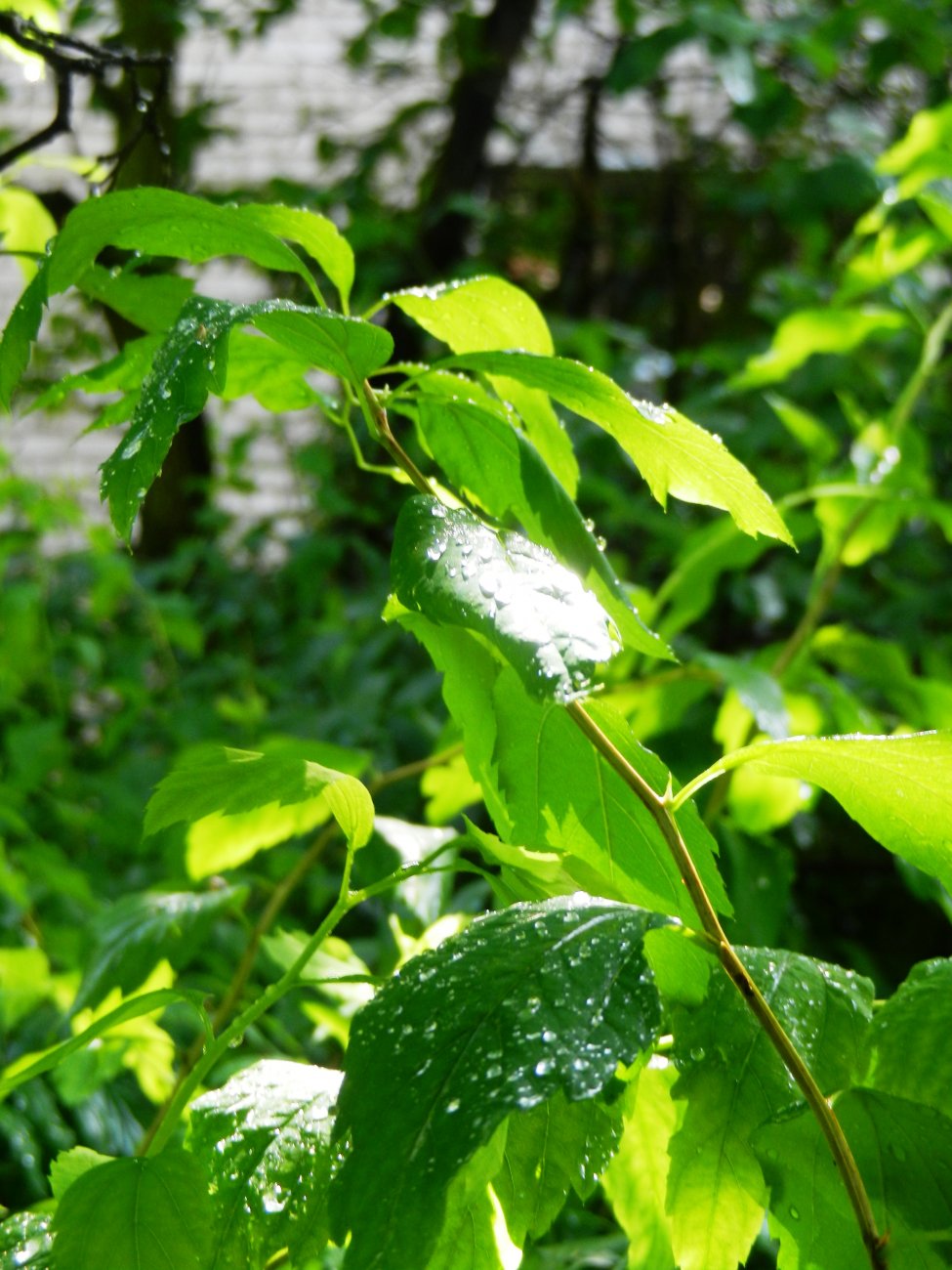DSCN1769.JPG