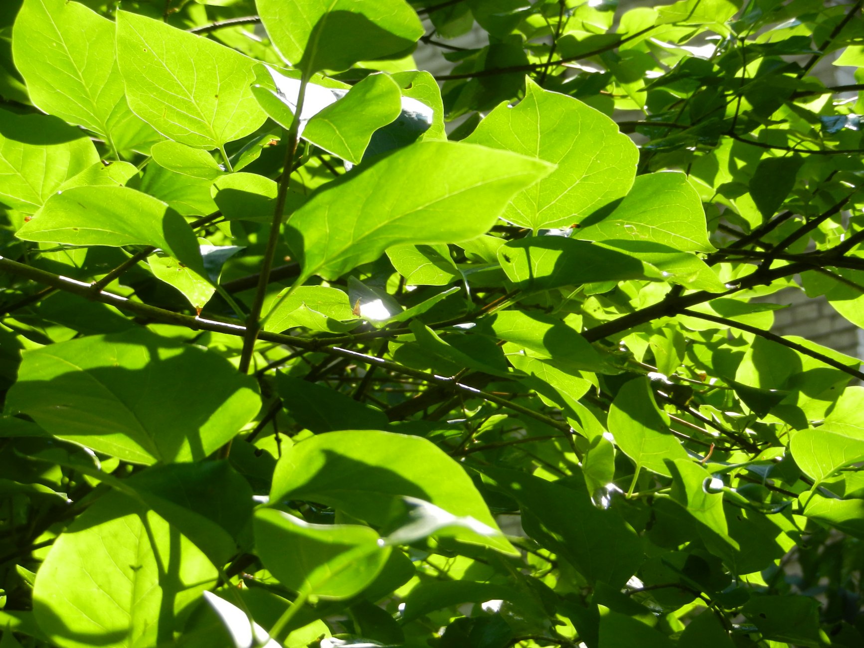 DSCN1771.JPG