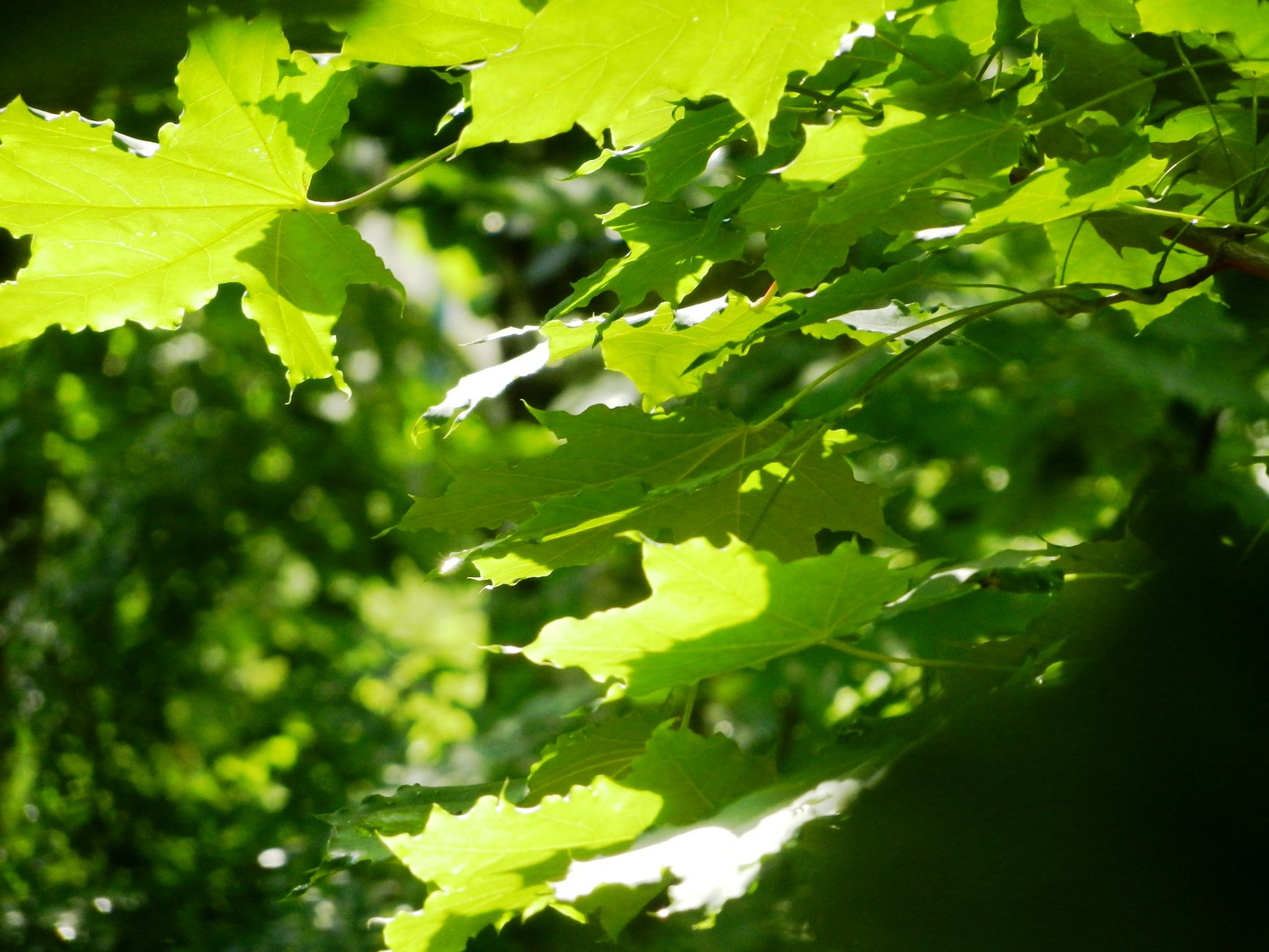 DSCN1777.JPG