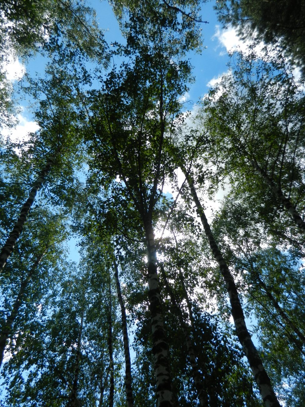 DSCN1810.JPG