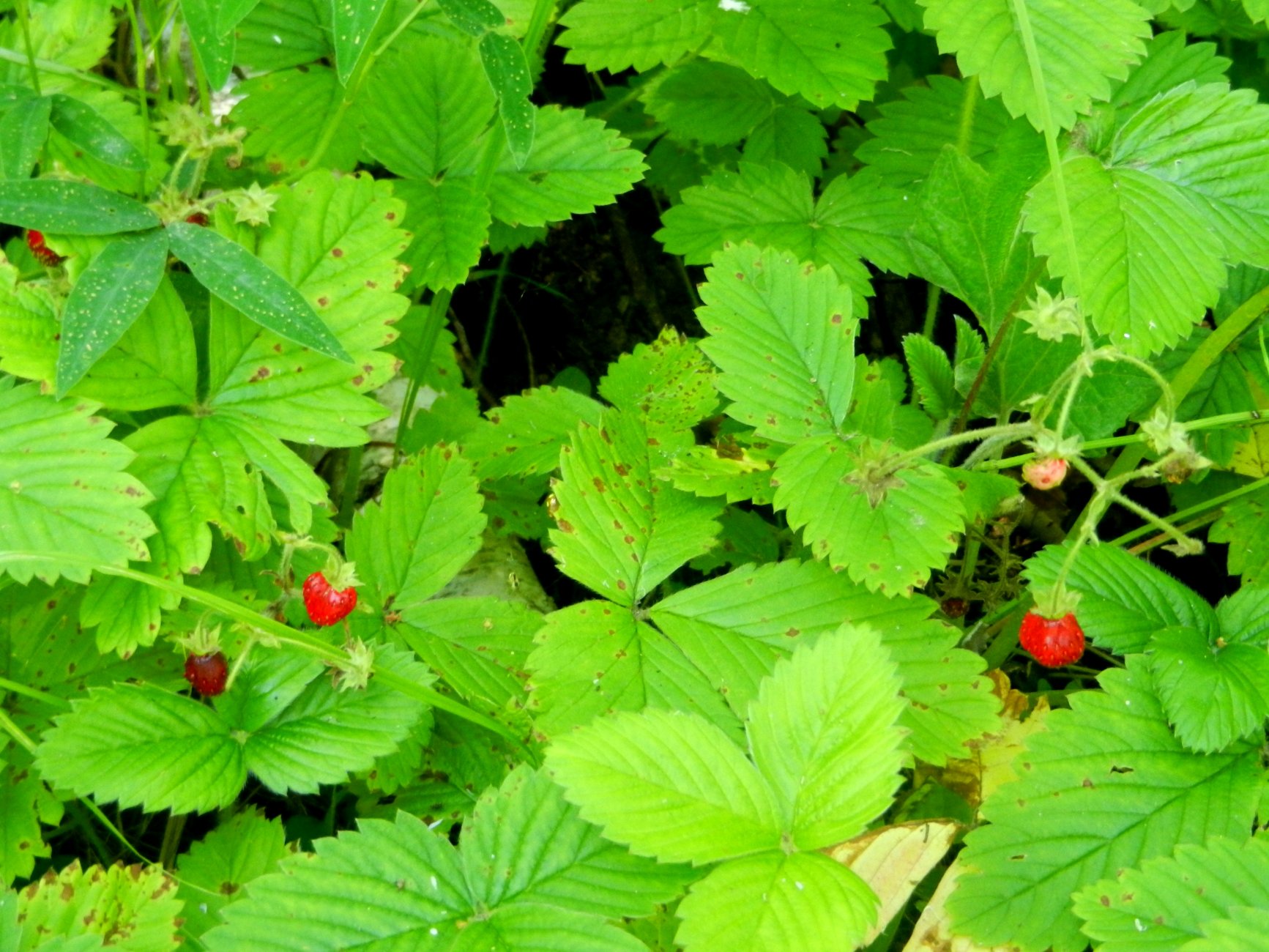 DSCN1814.JPG