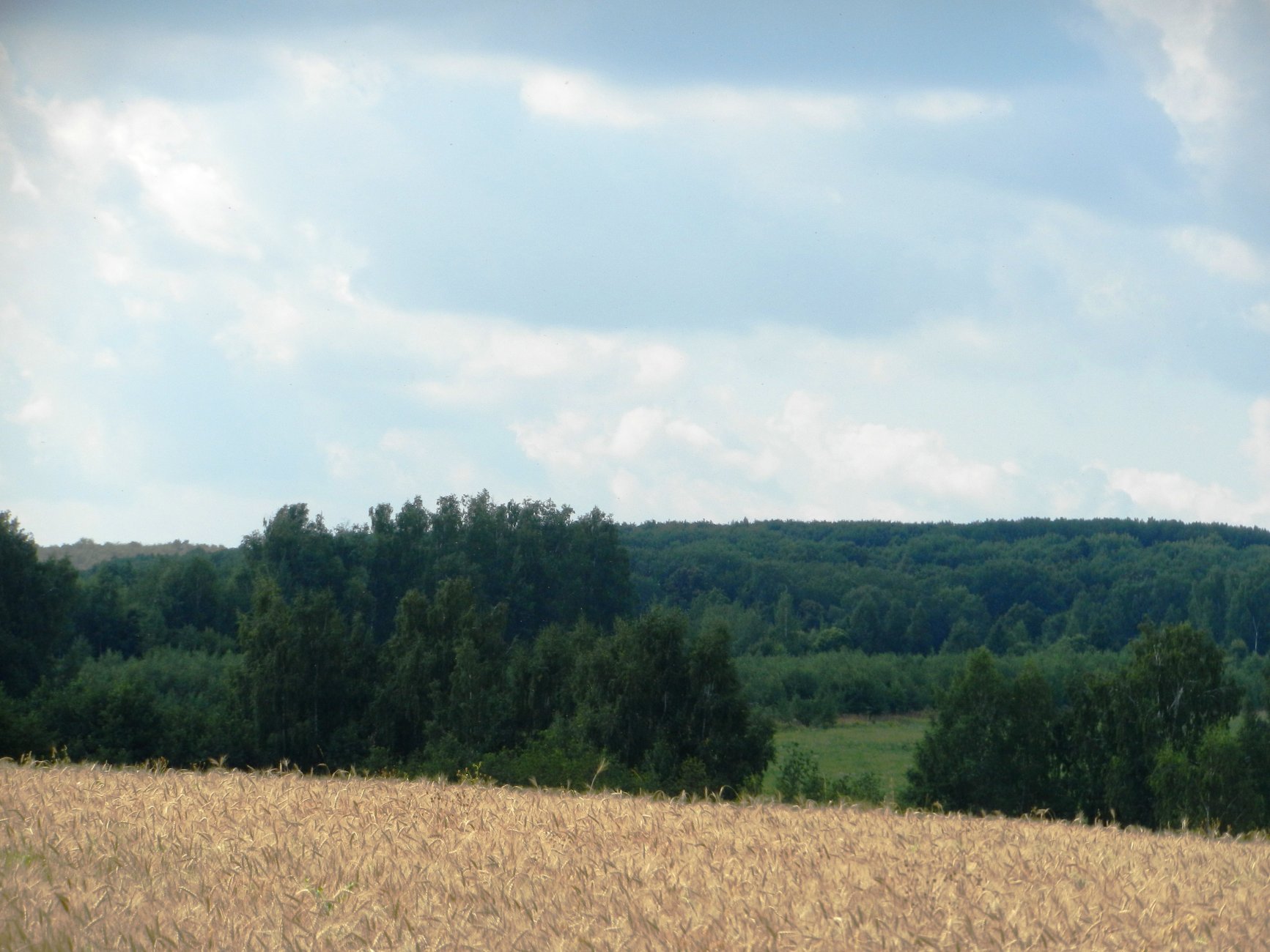 DSCN1864.JPG
