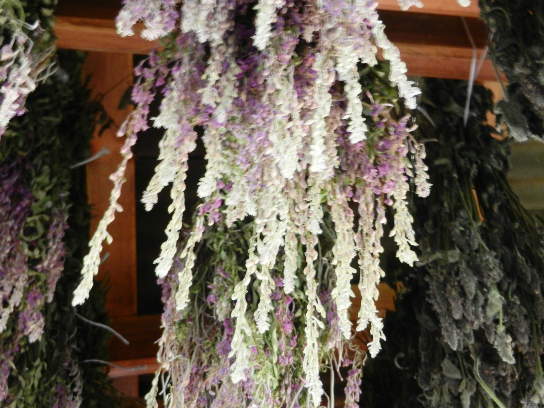 DSCN1865.JPG