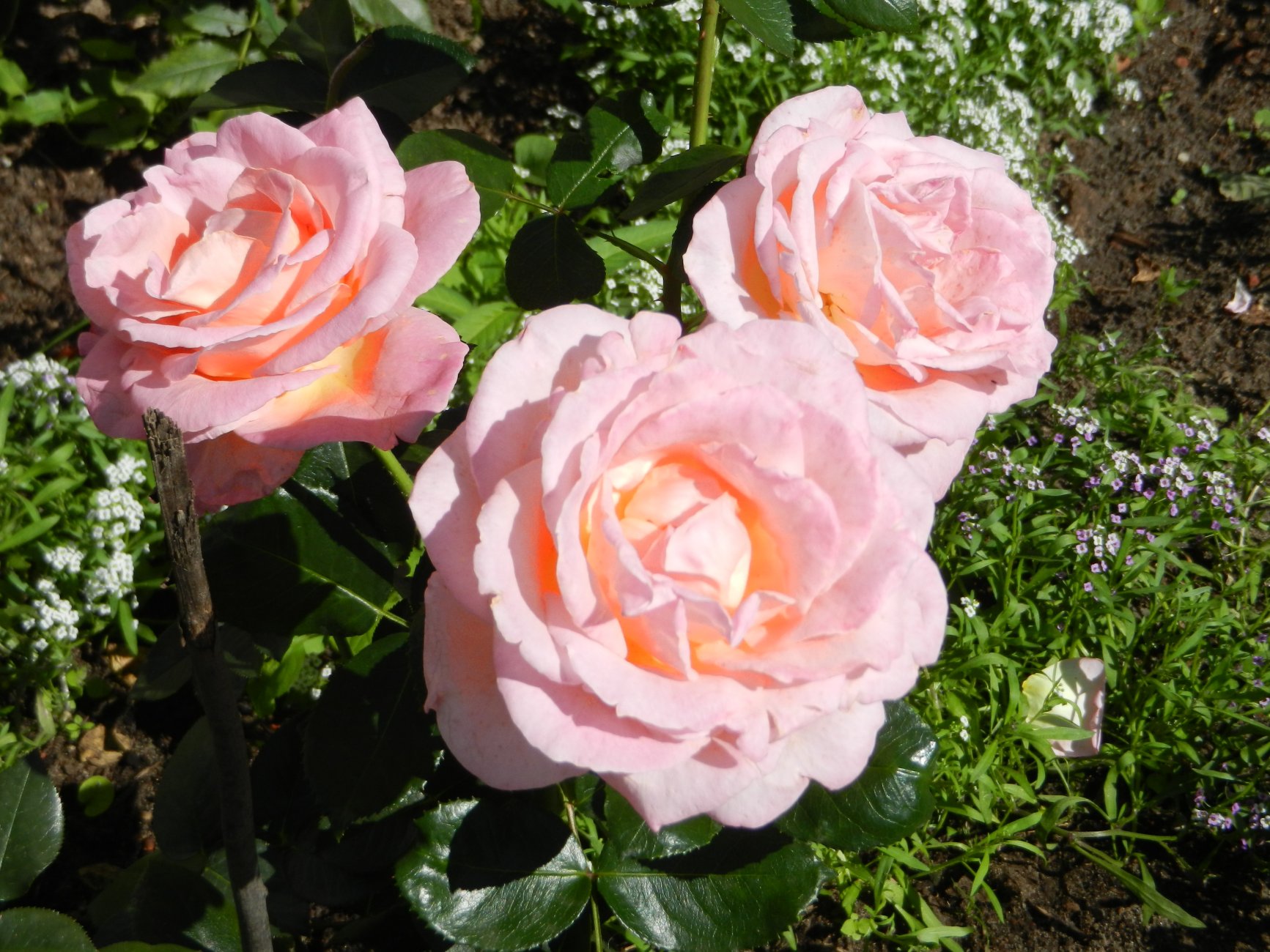 DSCN1898.JPG