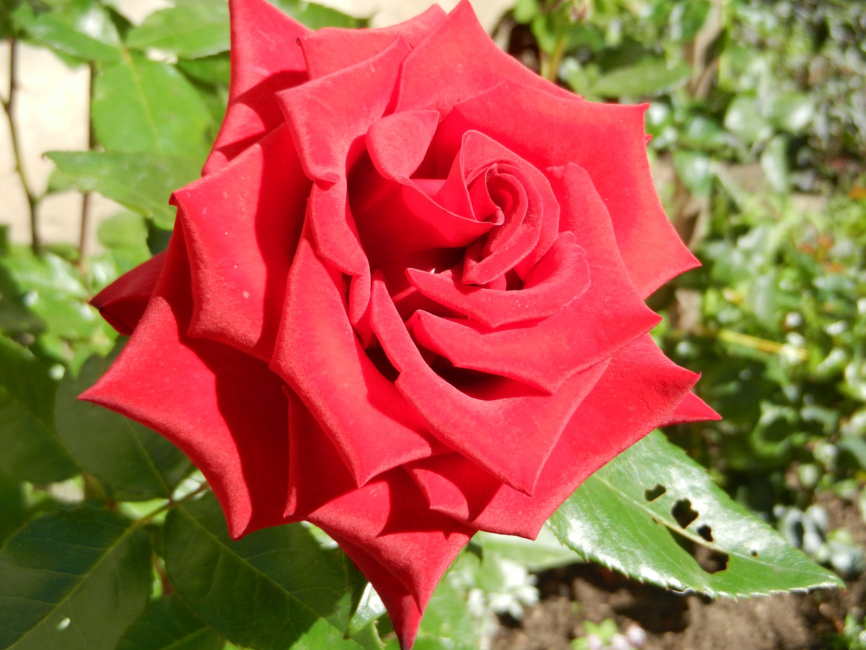 DSCN1904.JPG