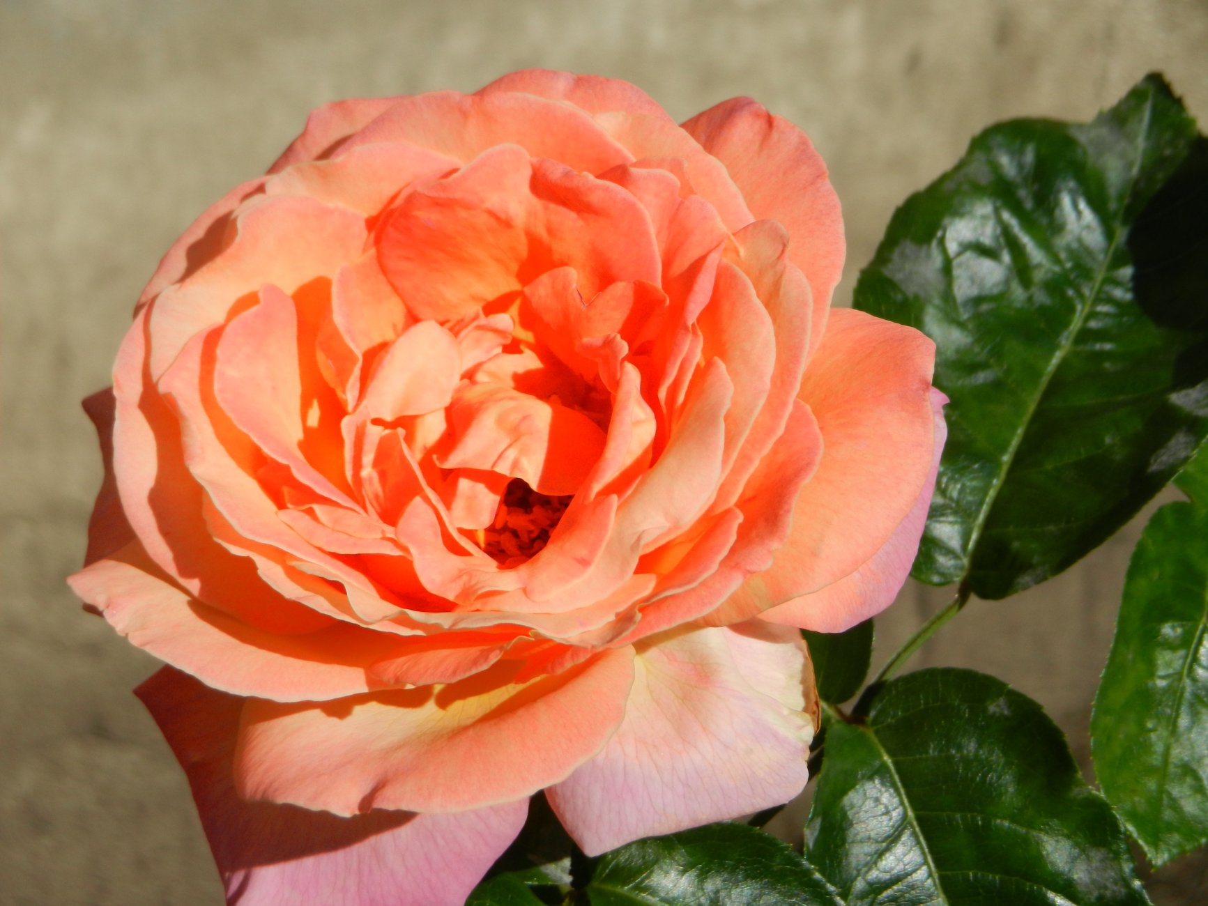 DSCN1905.JPG