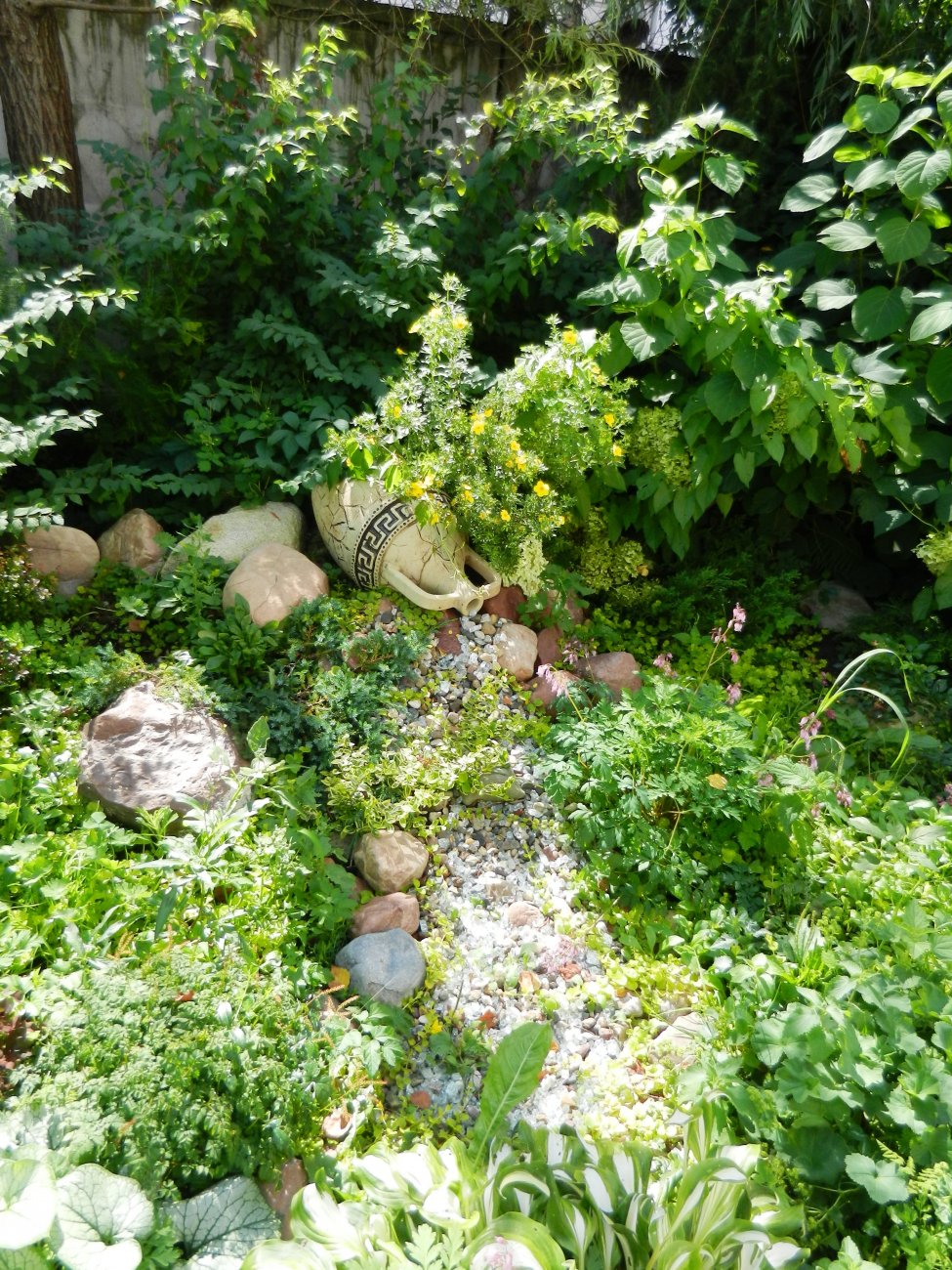 DSCN1924.JPG