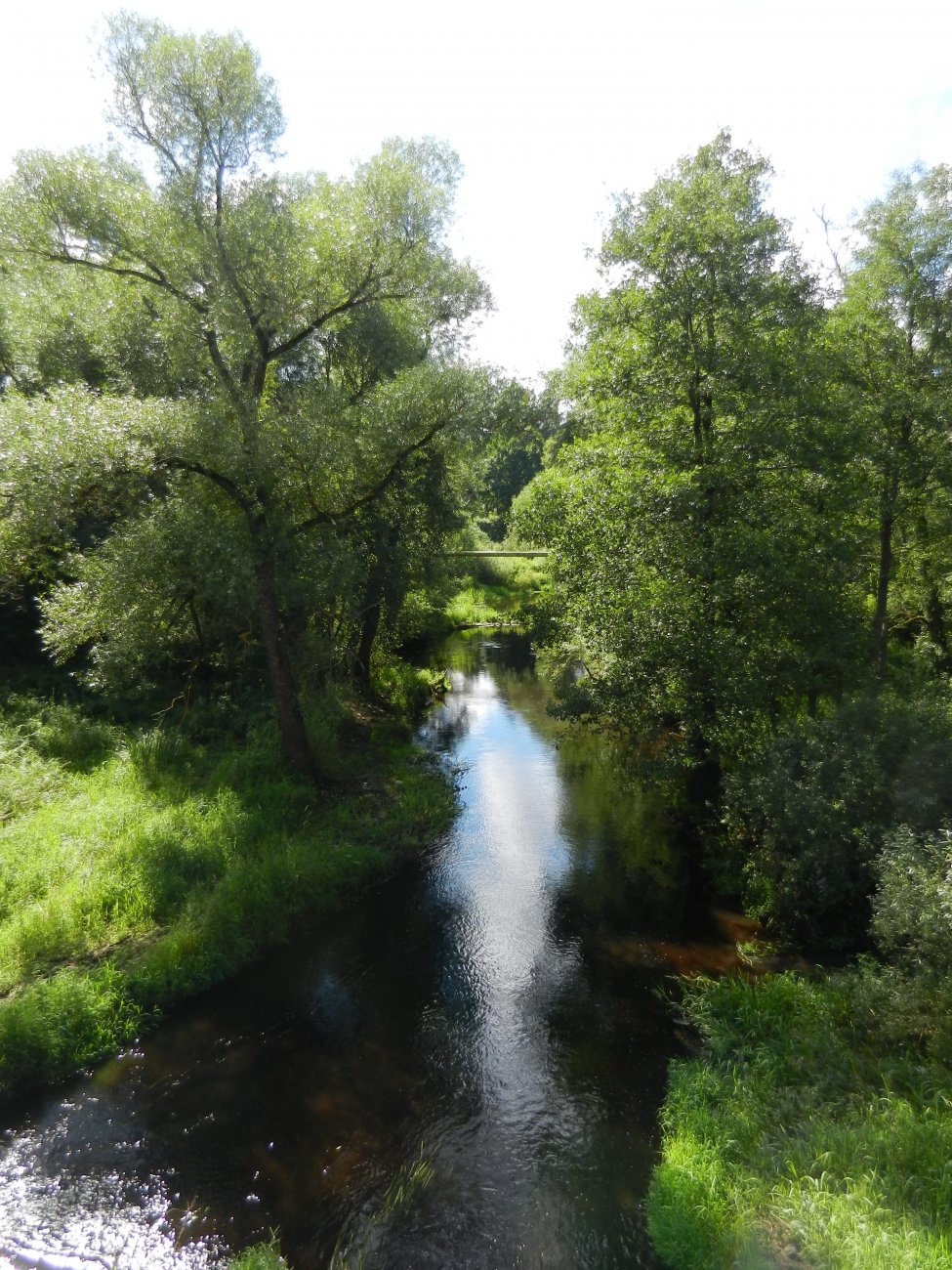 DSCN1933.JPG