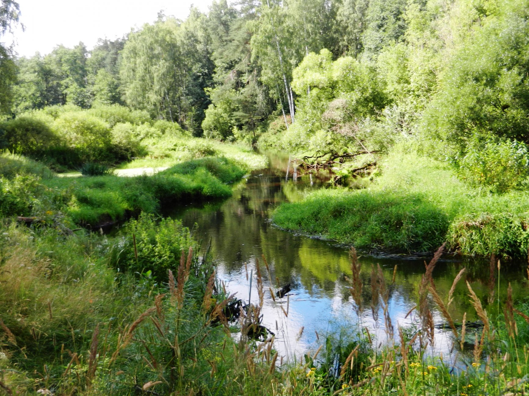 DSCN1949.JPG