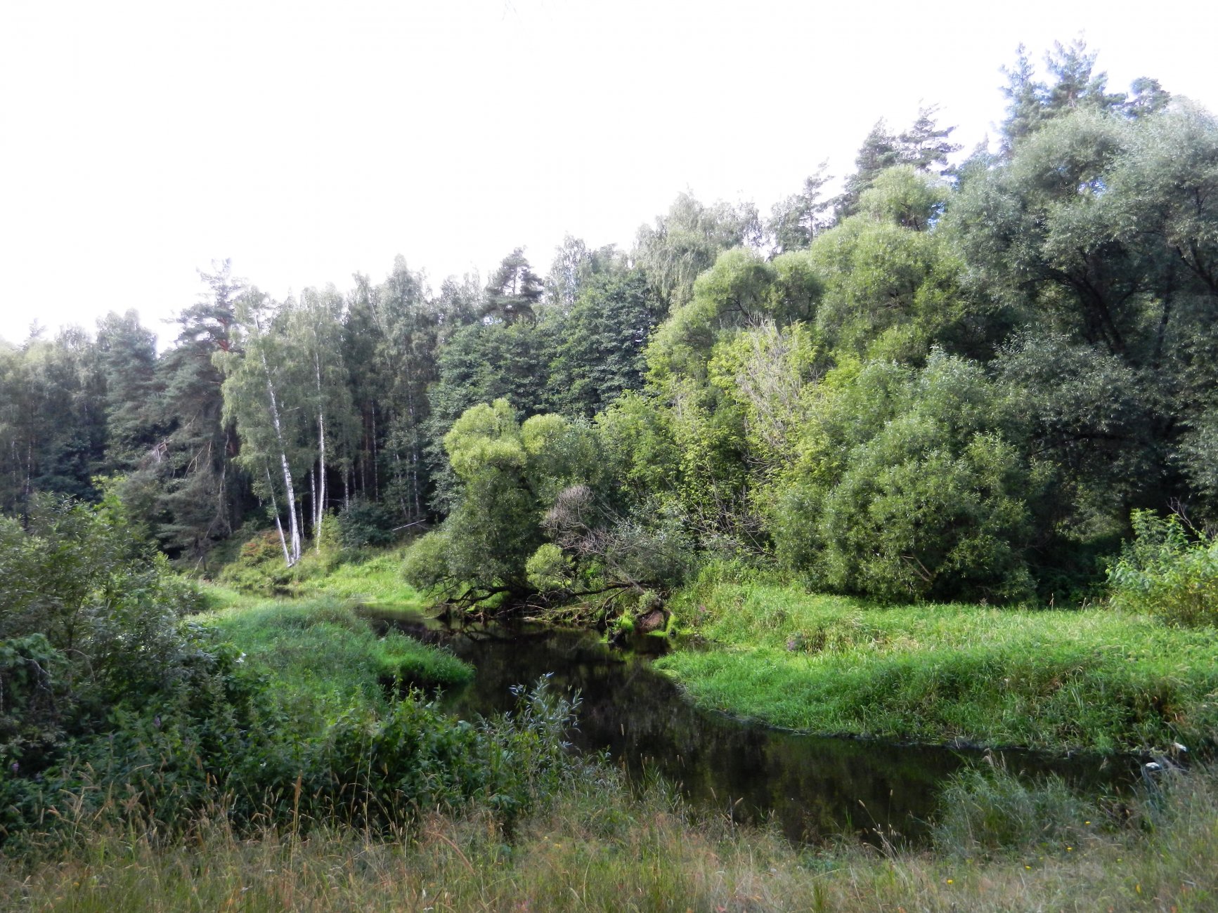 DSCN1952.JPG
