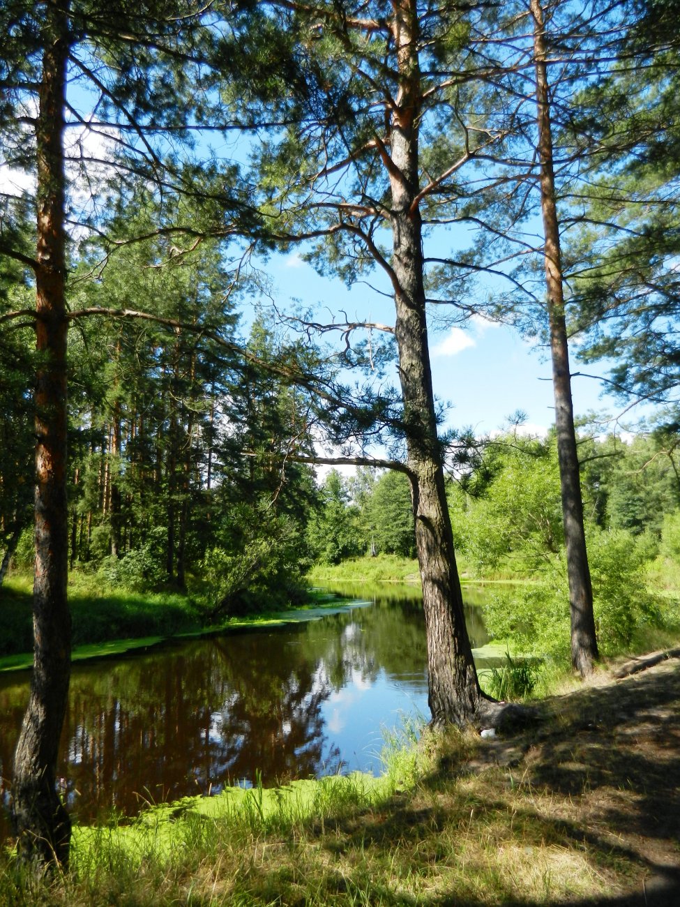 DSCN1953.JPG