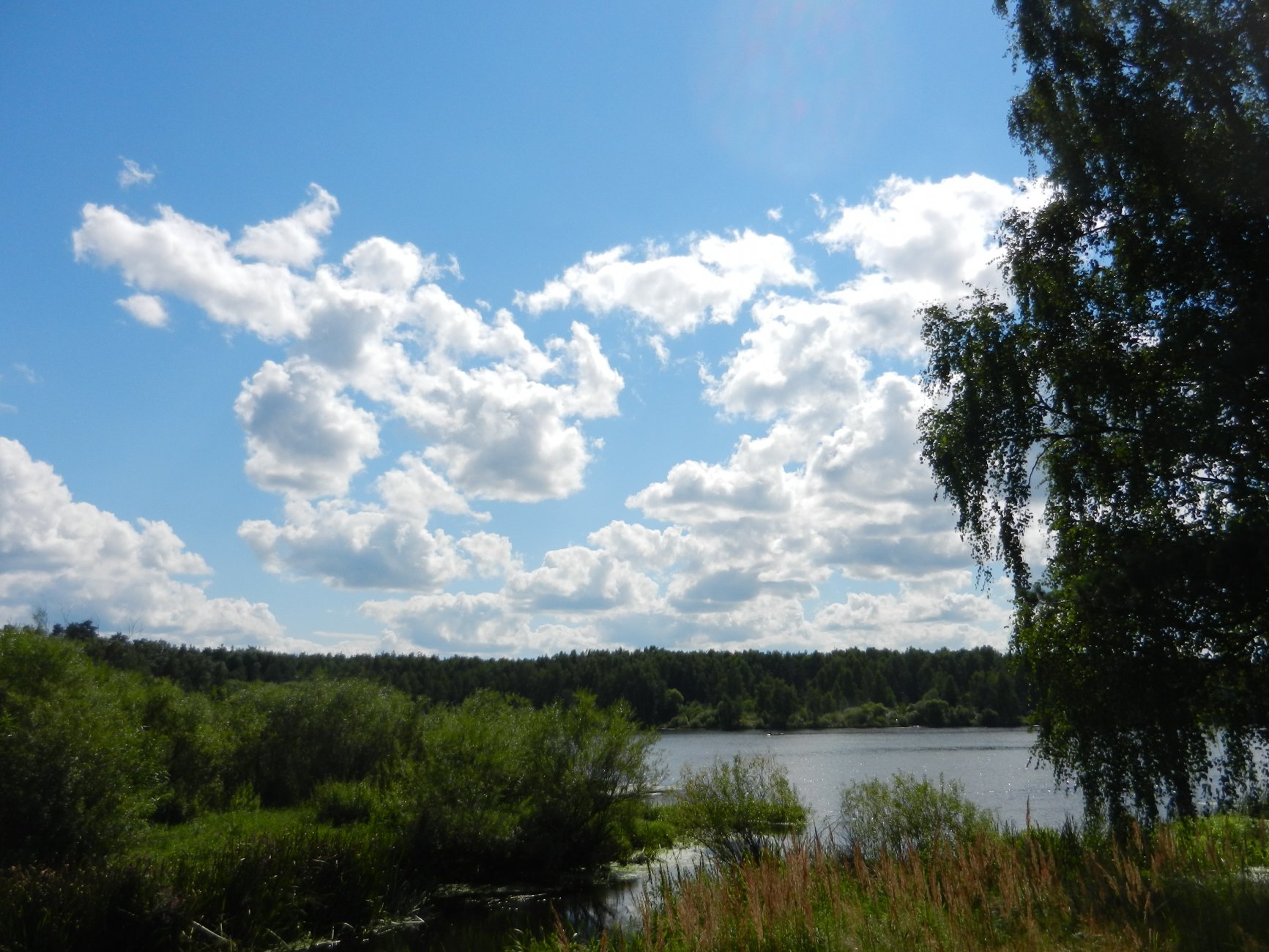 DSCN1967.JPG