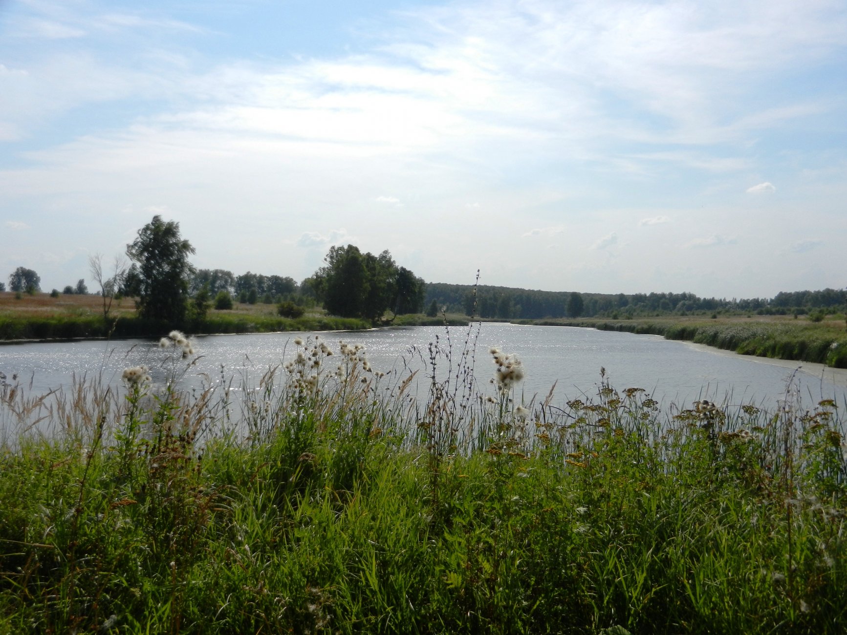 DSCN2007.JPG