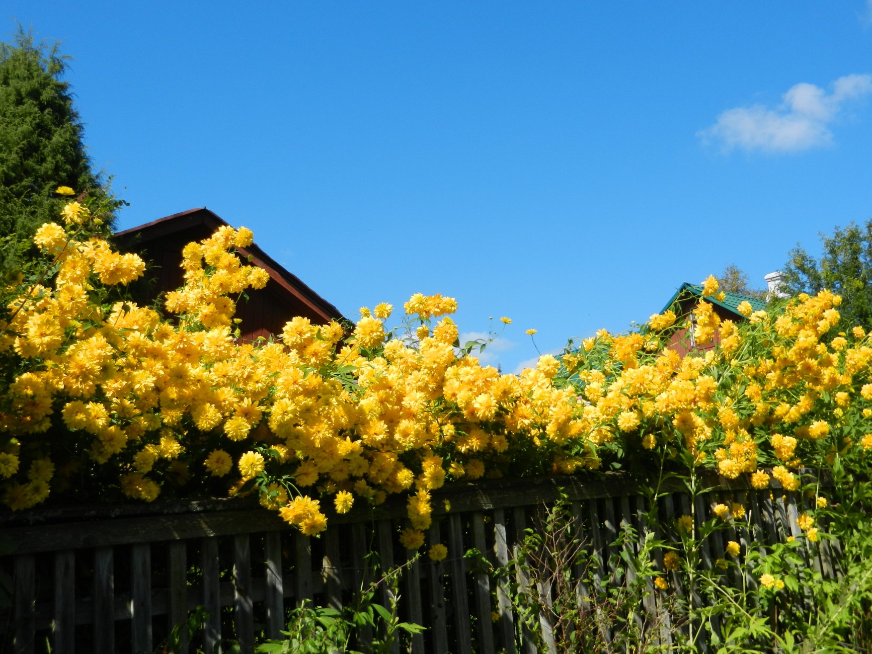 DSCN2072.JPG
