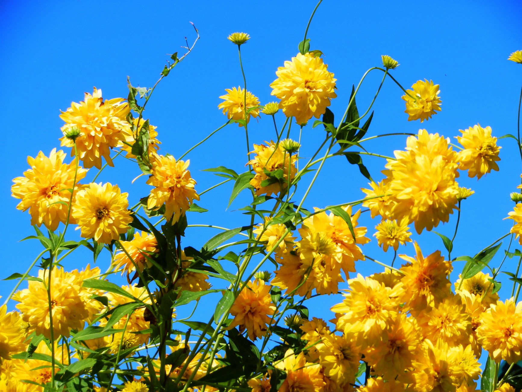 DSCN2073.JPG