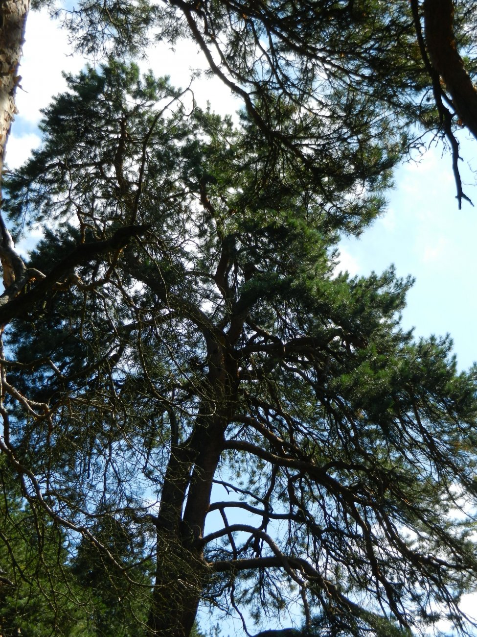 DSCN2079.JPG