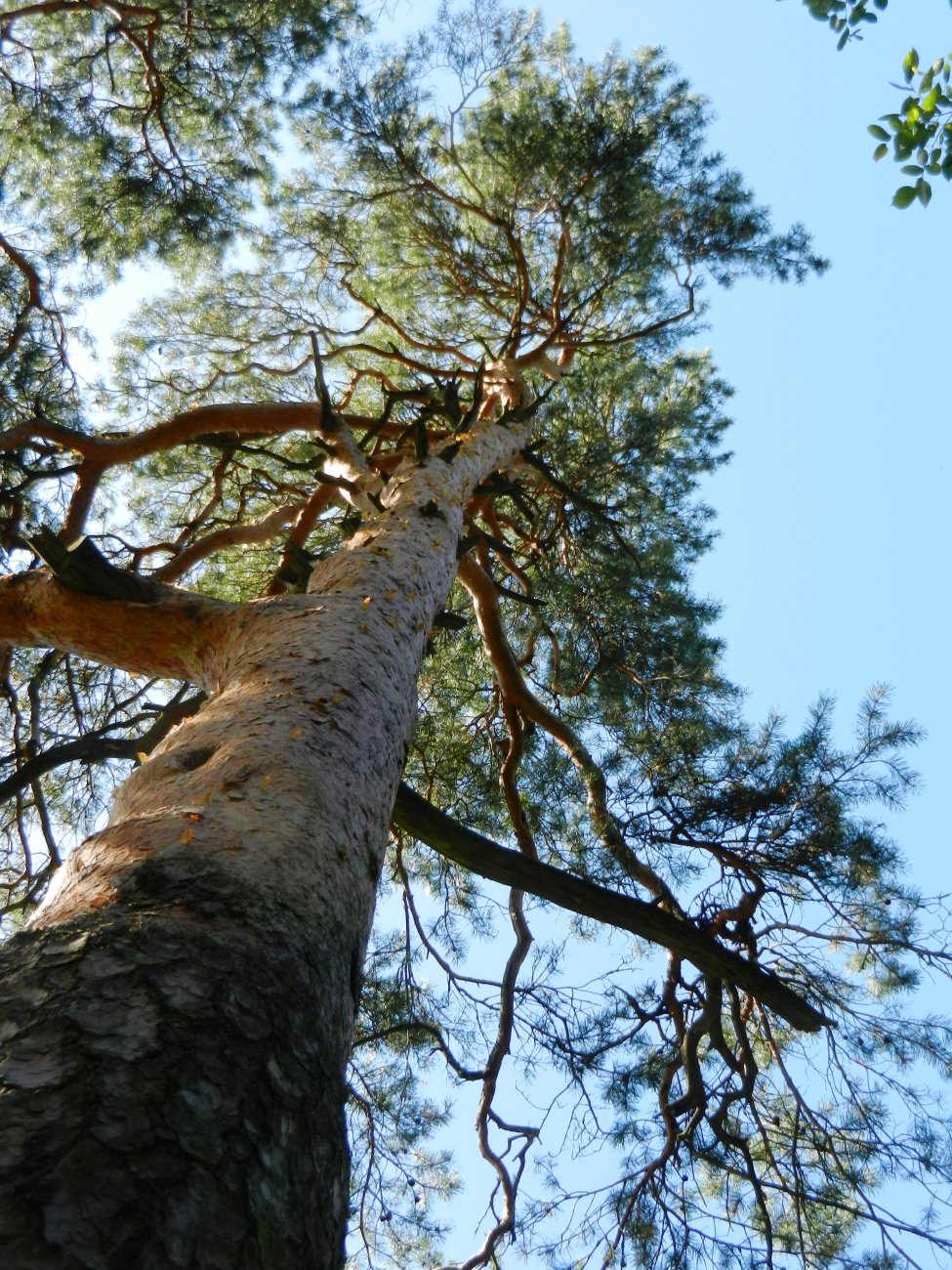 DSCN2080.JPG