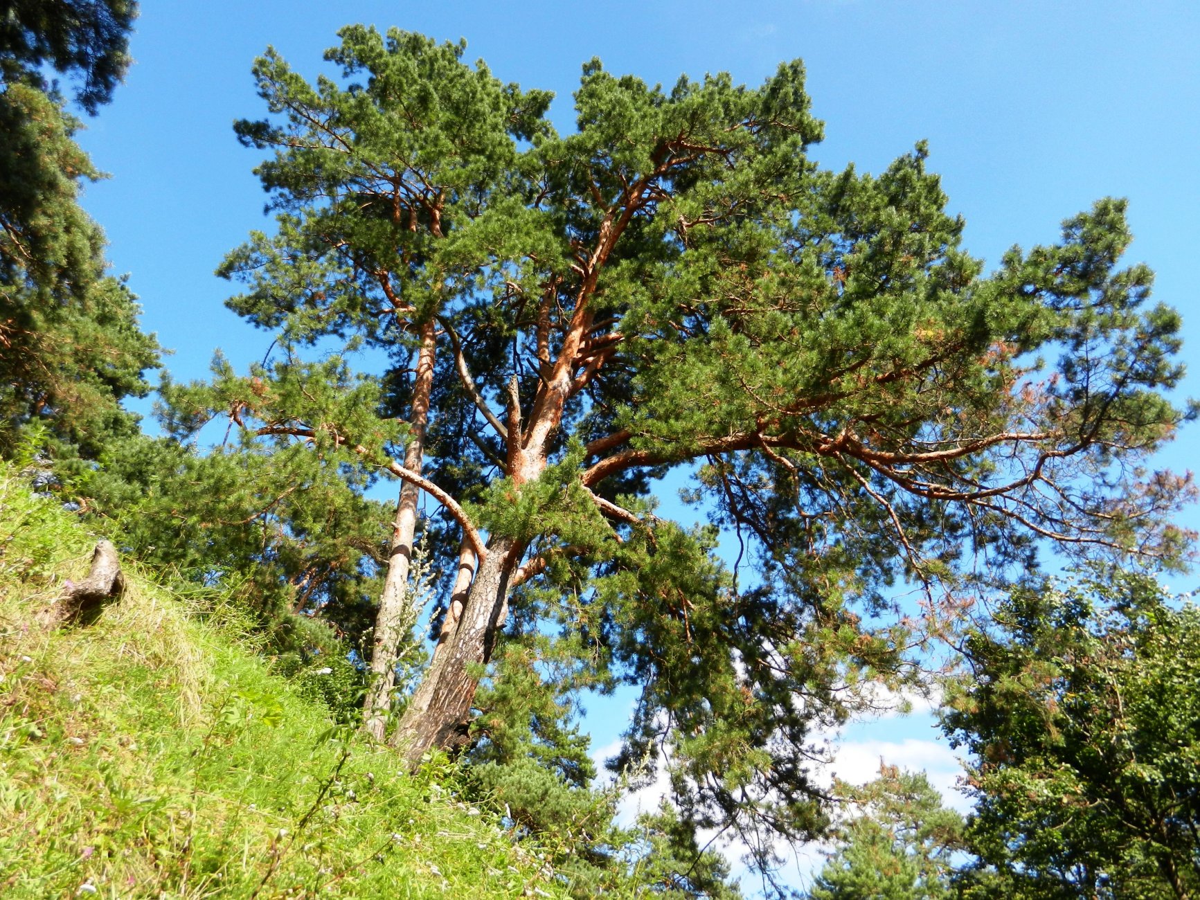 DSCN2093.JPG