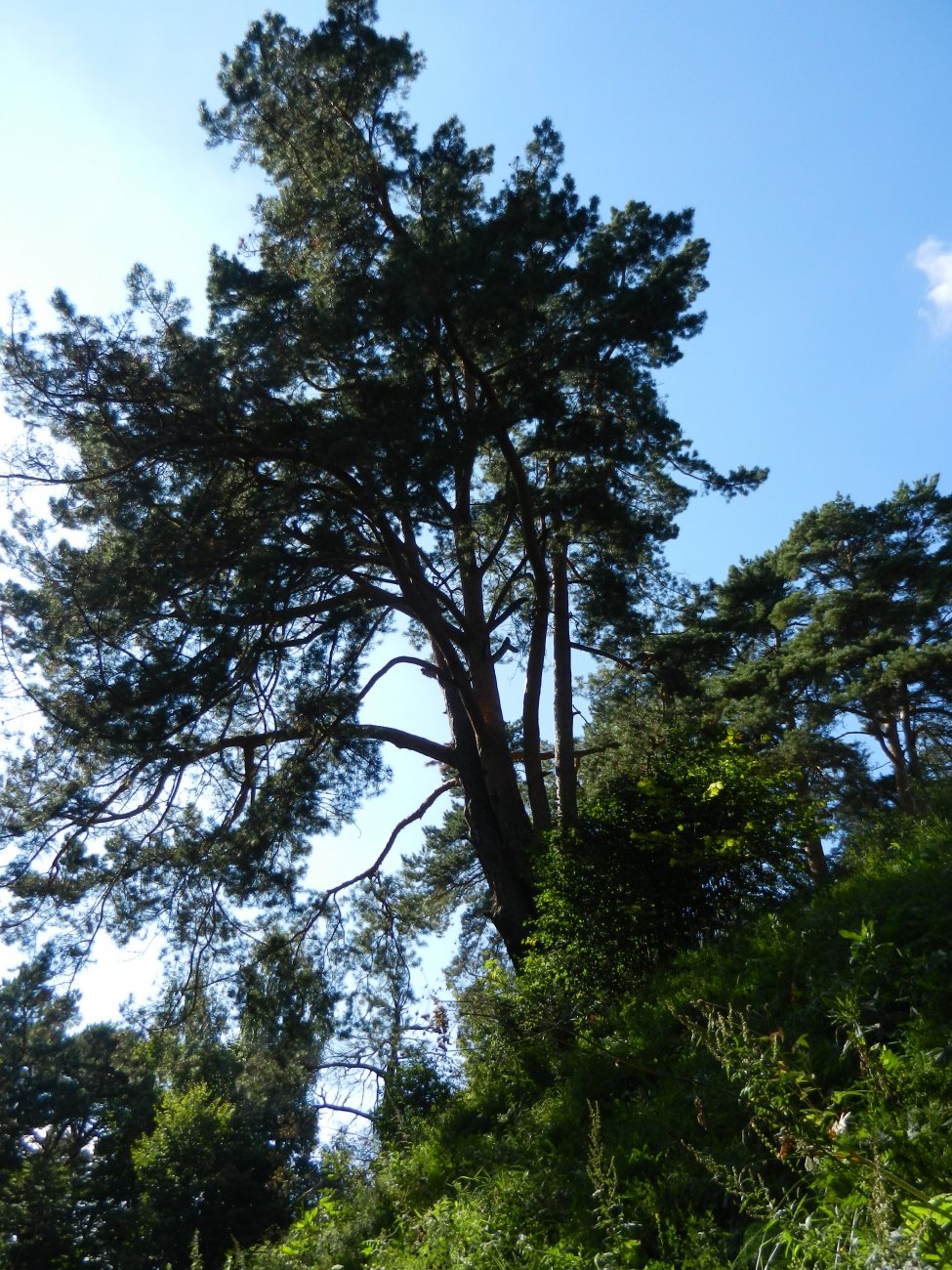 DSCN2094.JPG