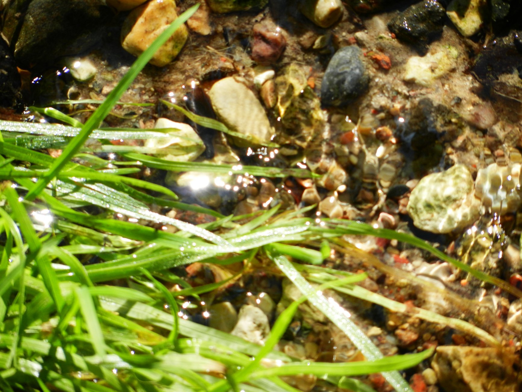 DSCN2101.JPG