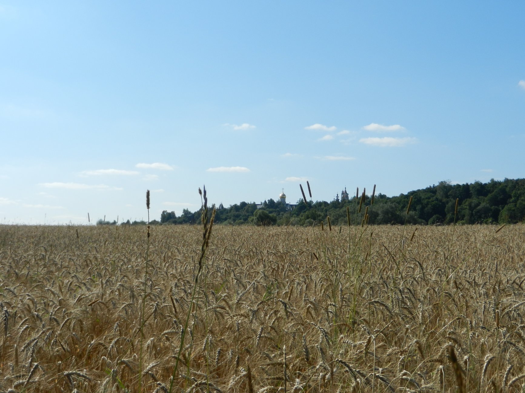 DSCN2113.JPG