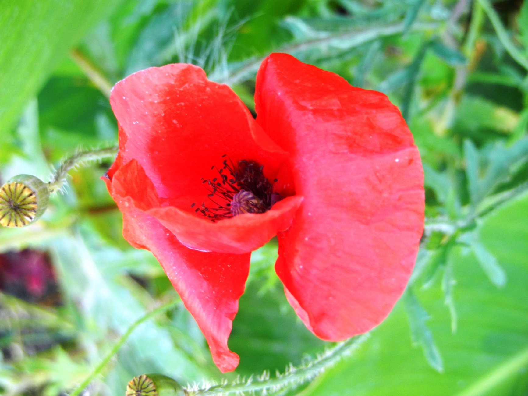 DSCN2170.JPG
