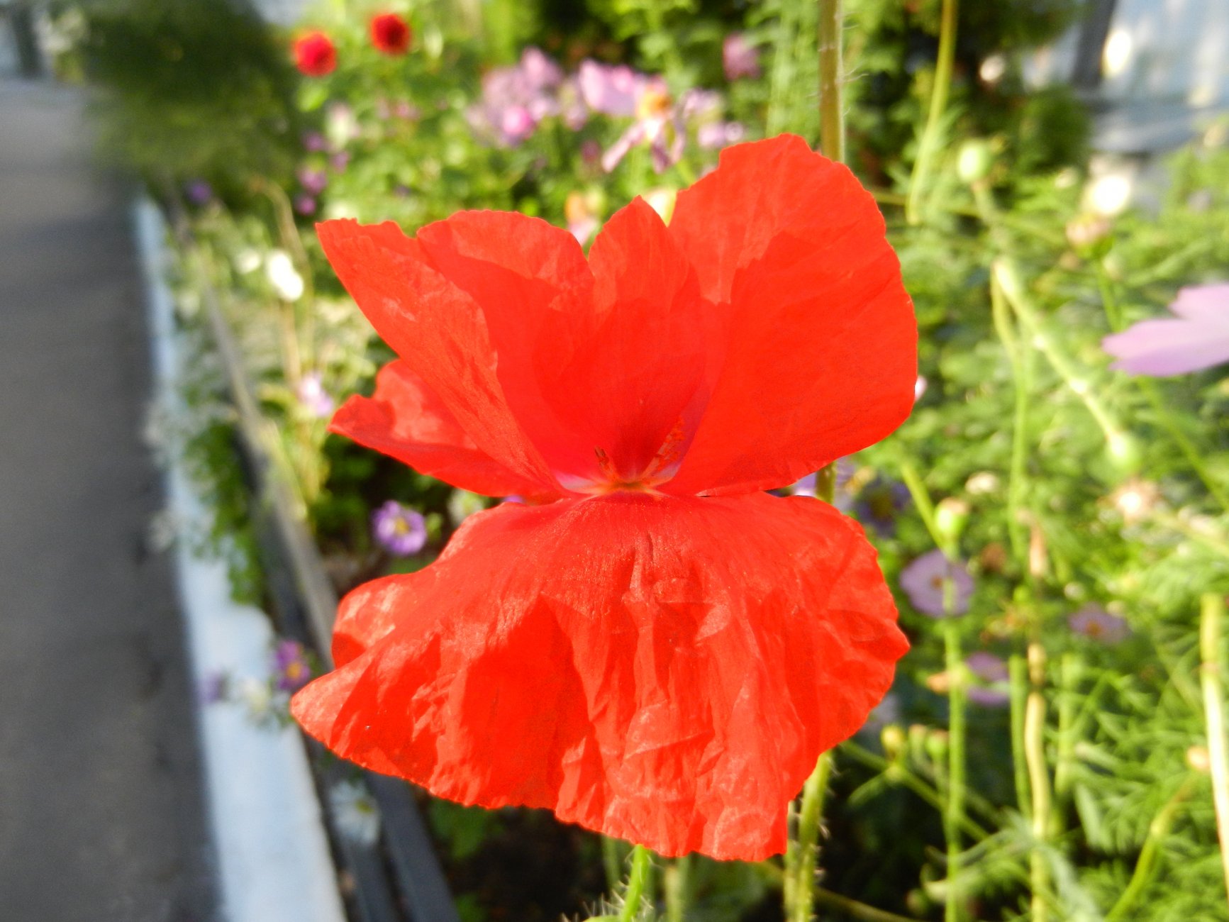 DSCN2173.JPG