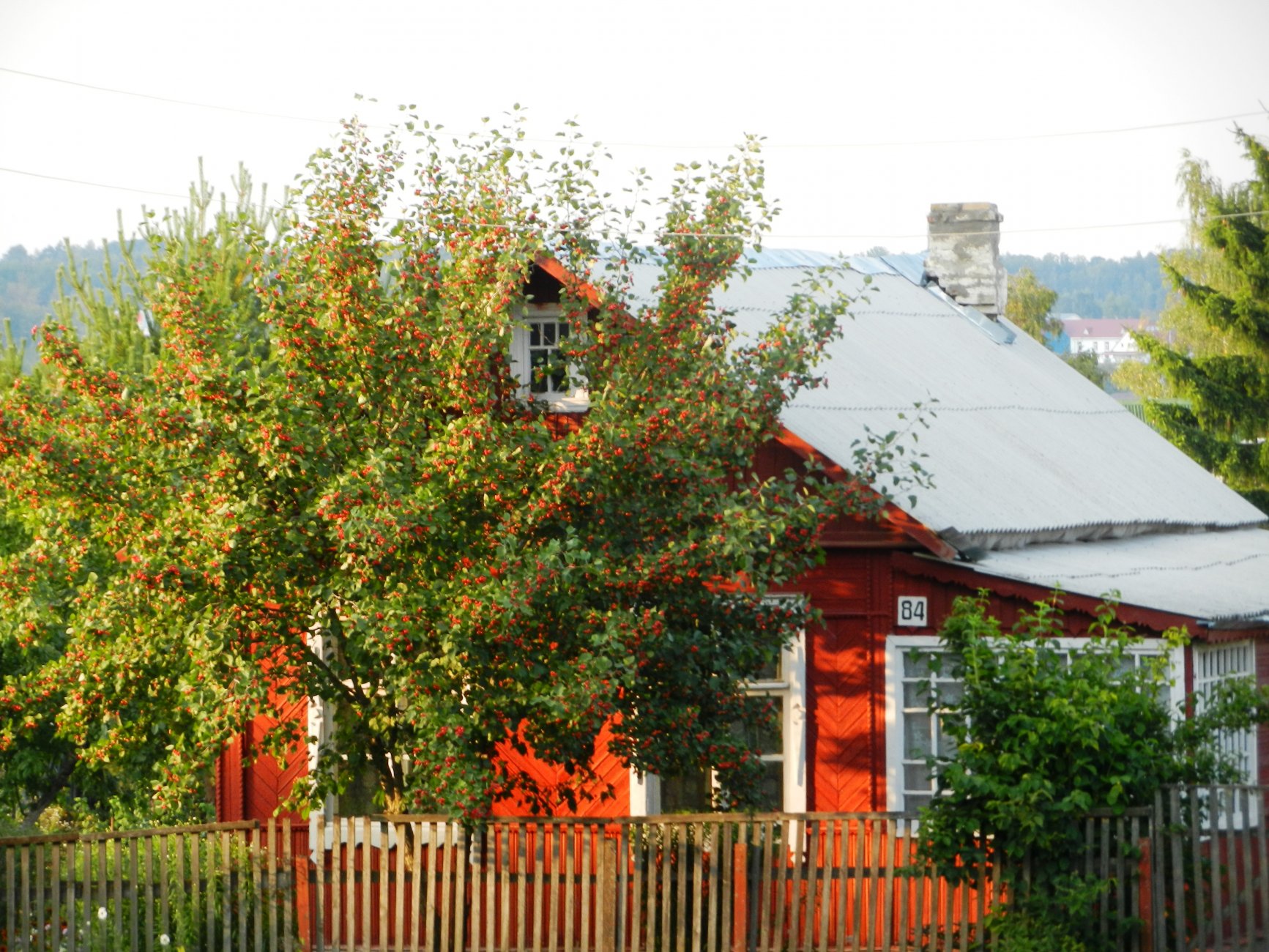 DSCN2222.JPG