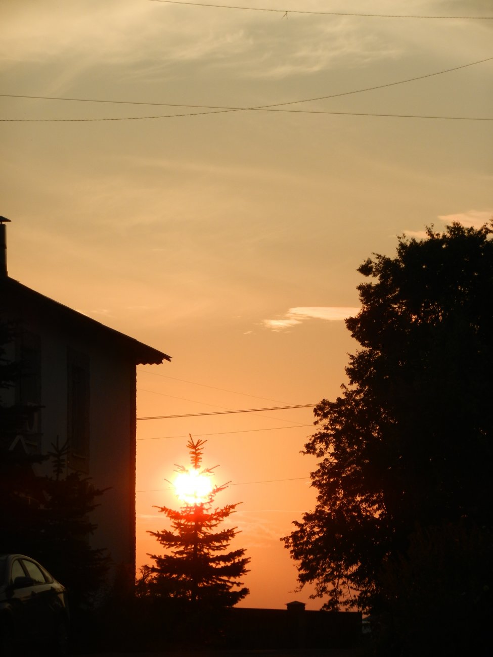 DSCN2254.JPG