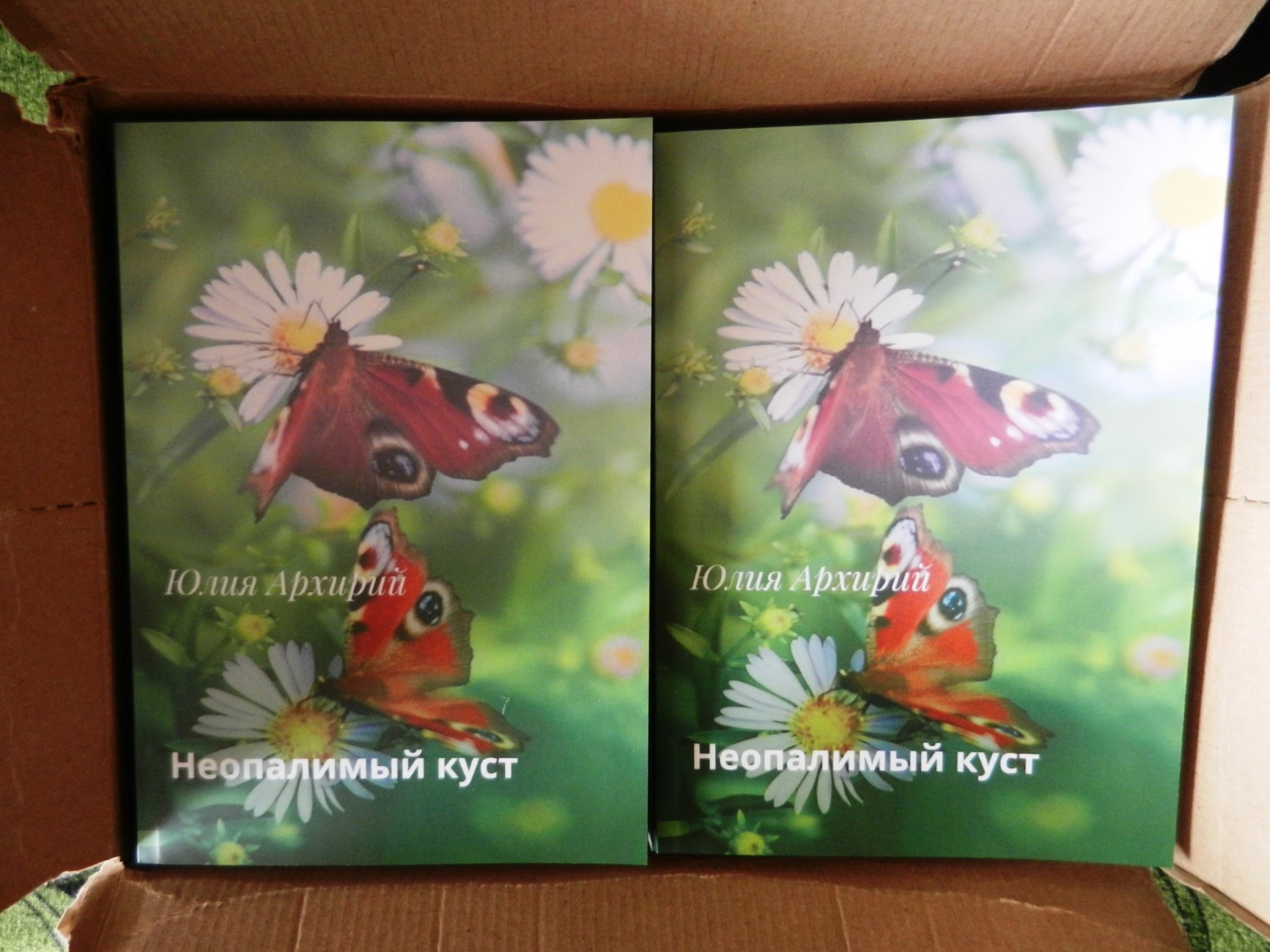 DSCN2577.JPG