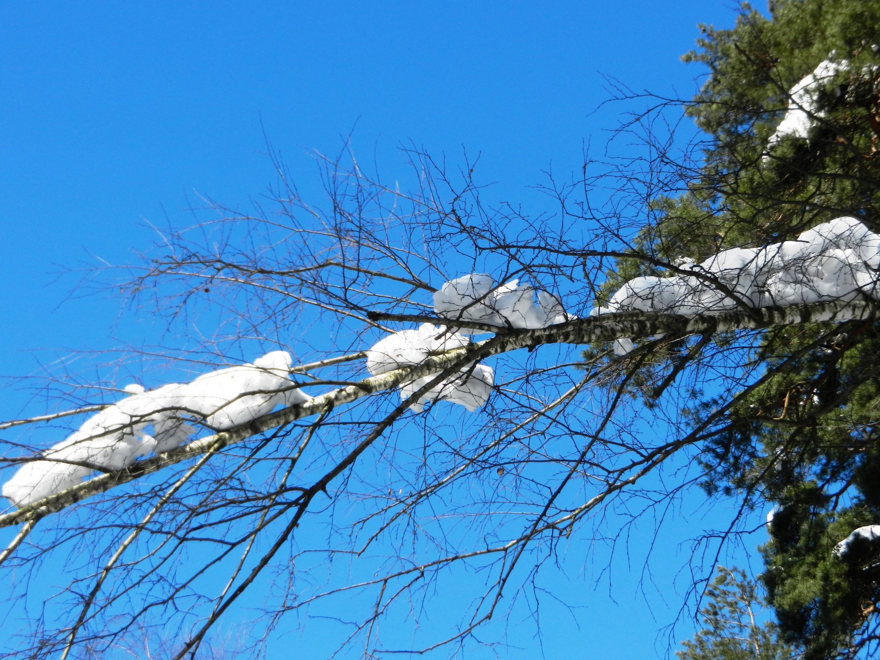 DSCN2611.JPG