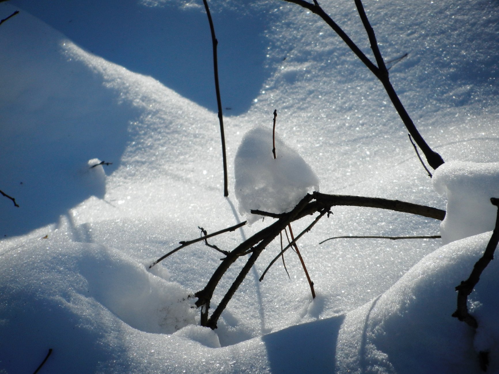 DSCN2613.JPG