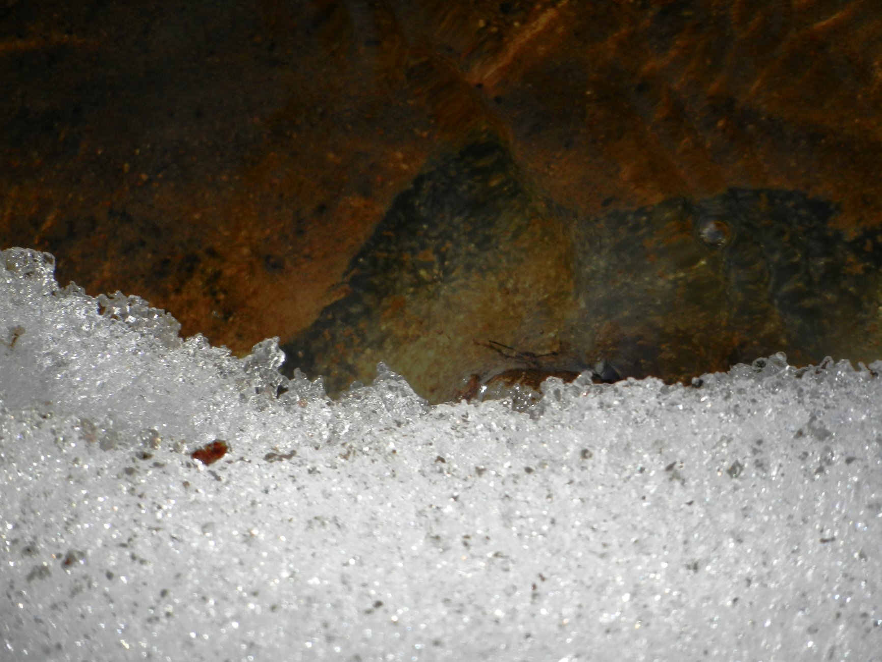 DSCN2654.JPG