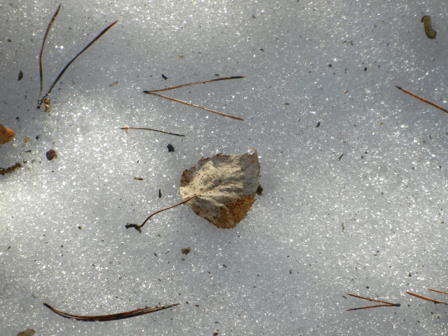DSCN2666.JPG