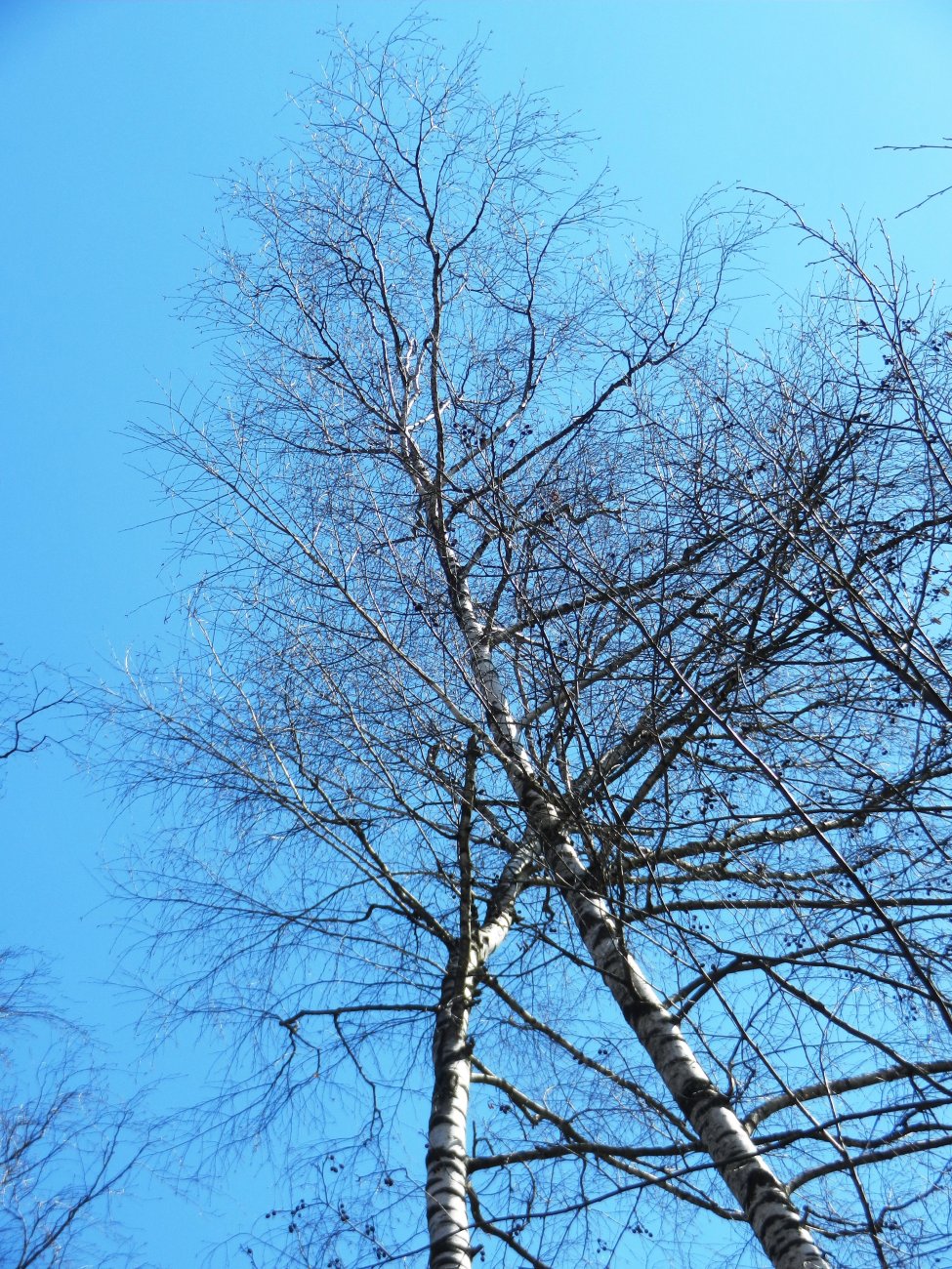 DSCN2694.JPG