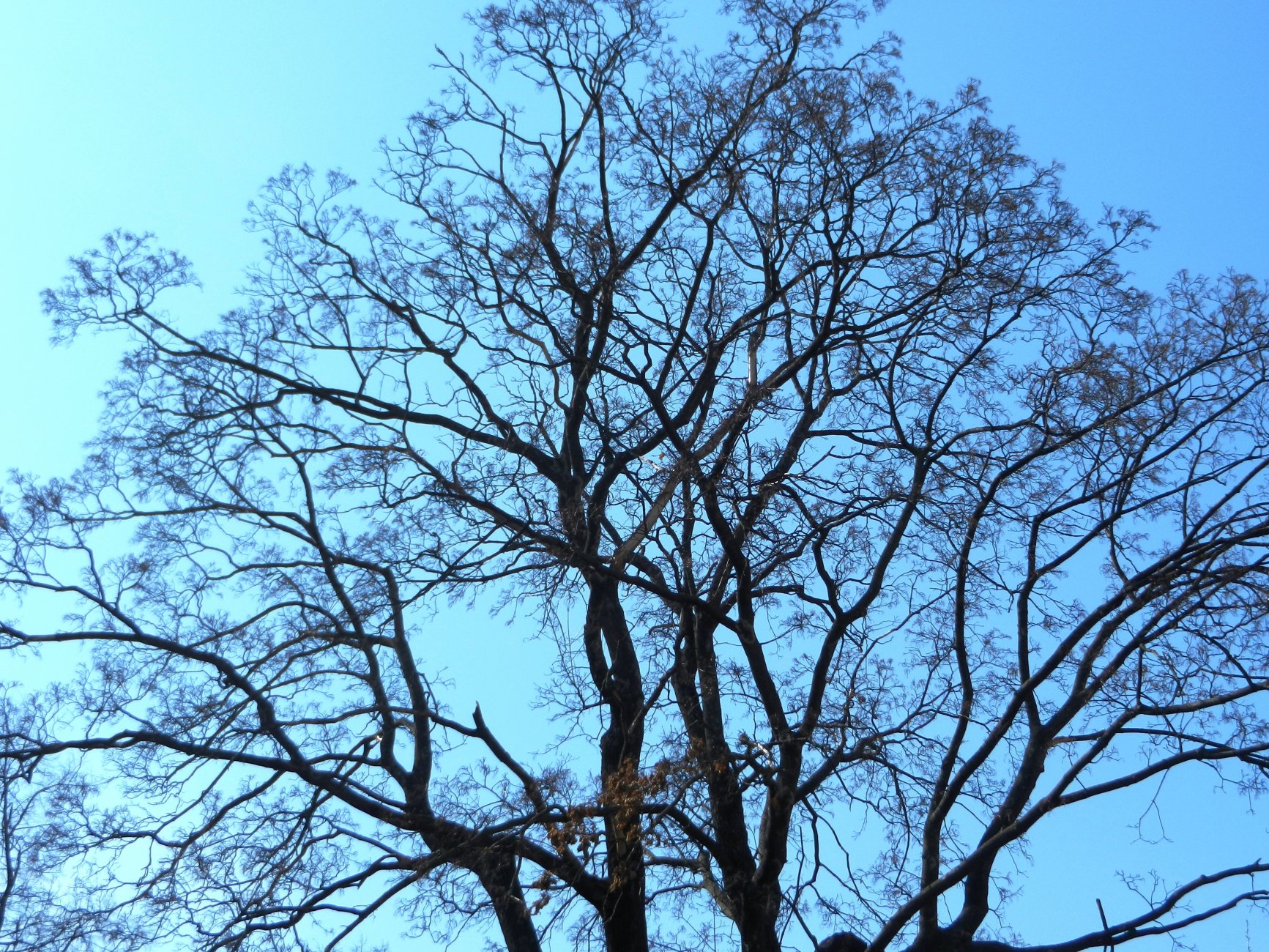 DSCN2701.JPG