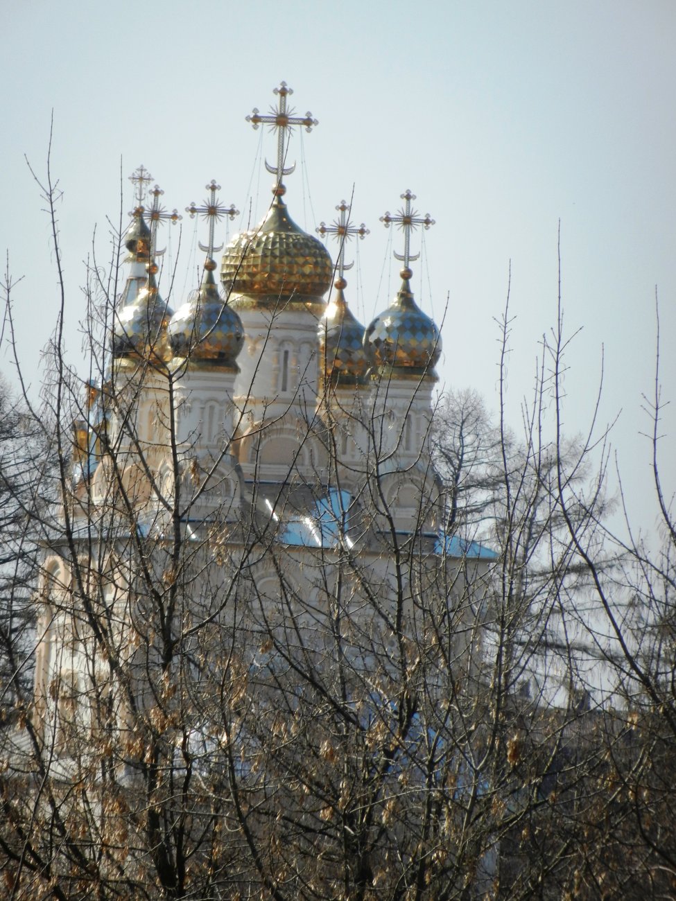 DSCN2714.JPG