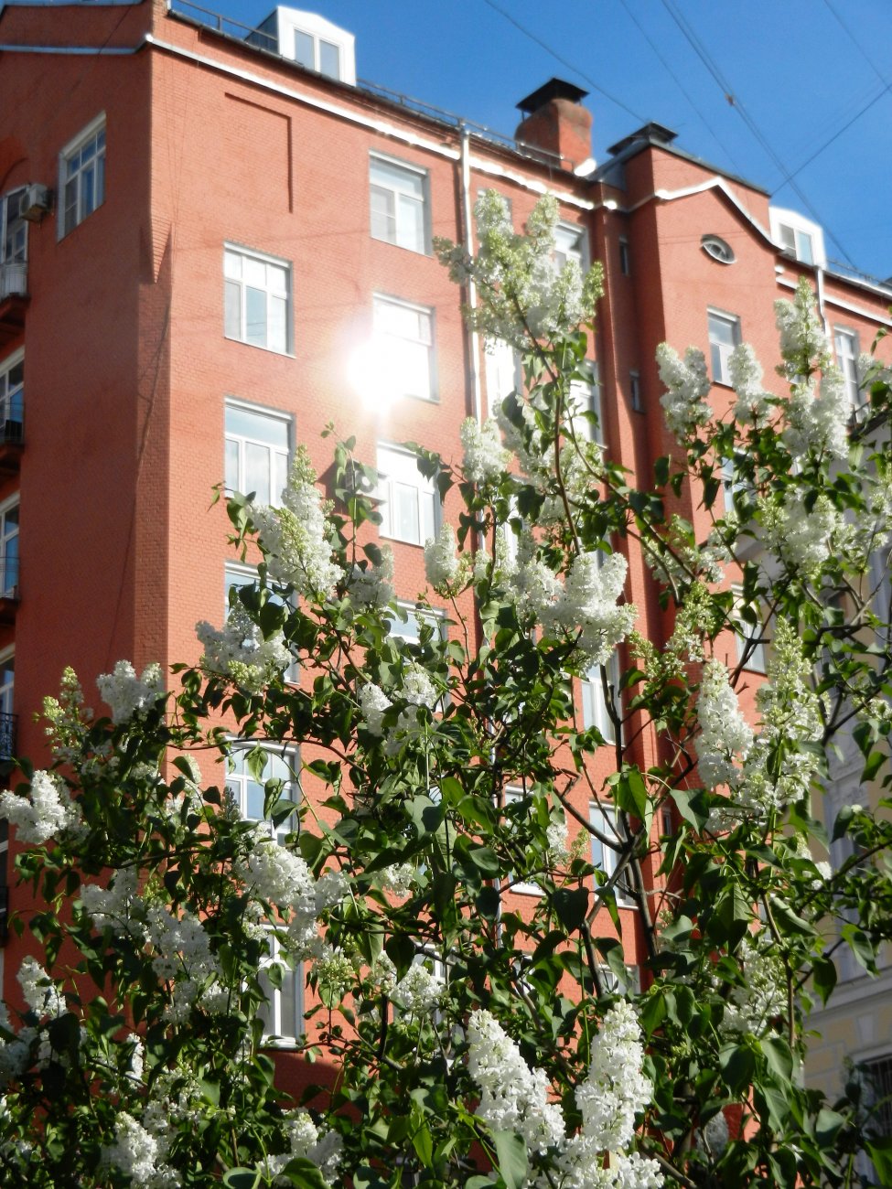 DSCN2765.JPG
