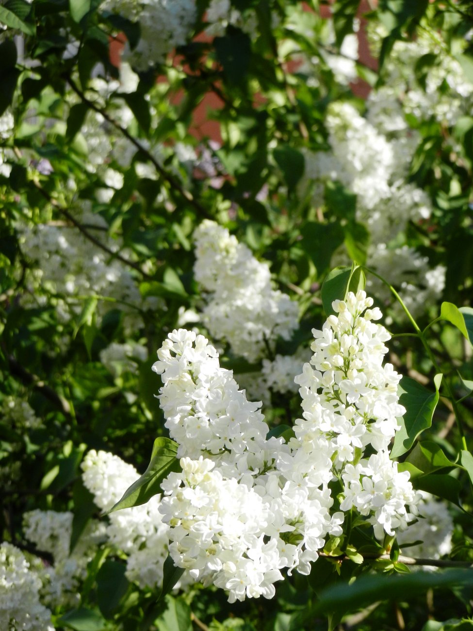 DSCN2766.JPG