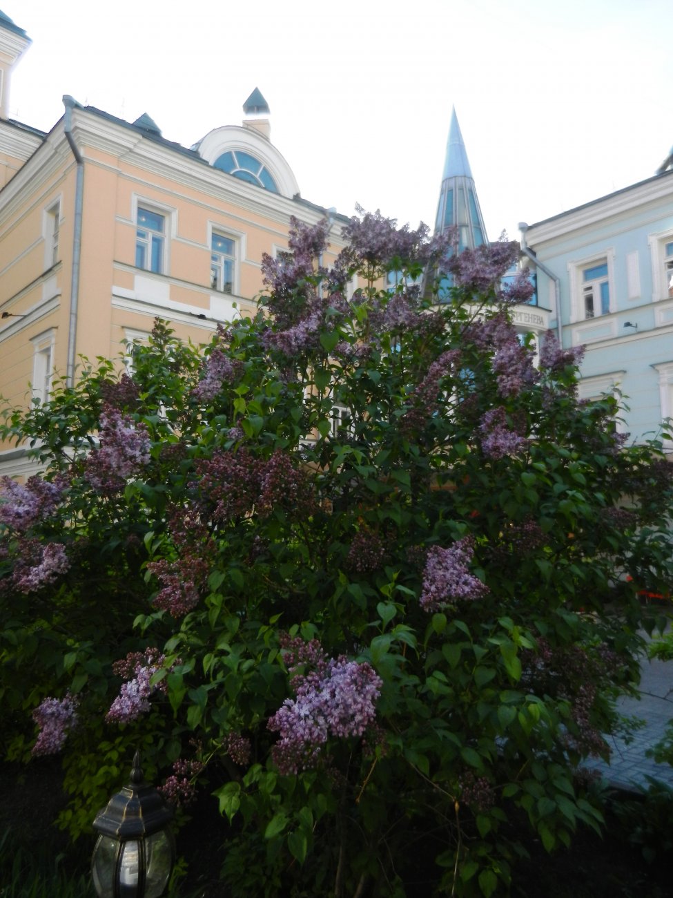 DSCN2767.JPG