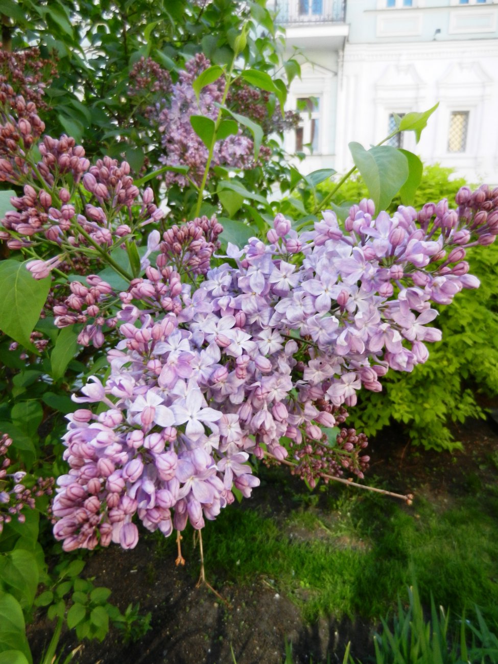 DSCN2768.JPG
