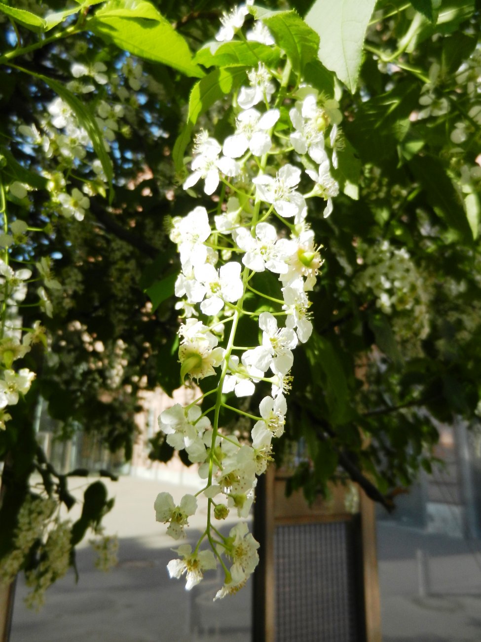 DSCN2772.JPG