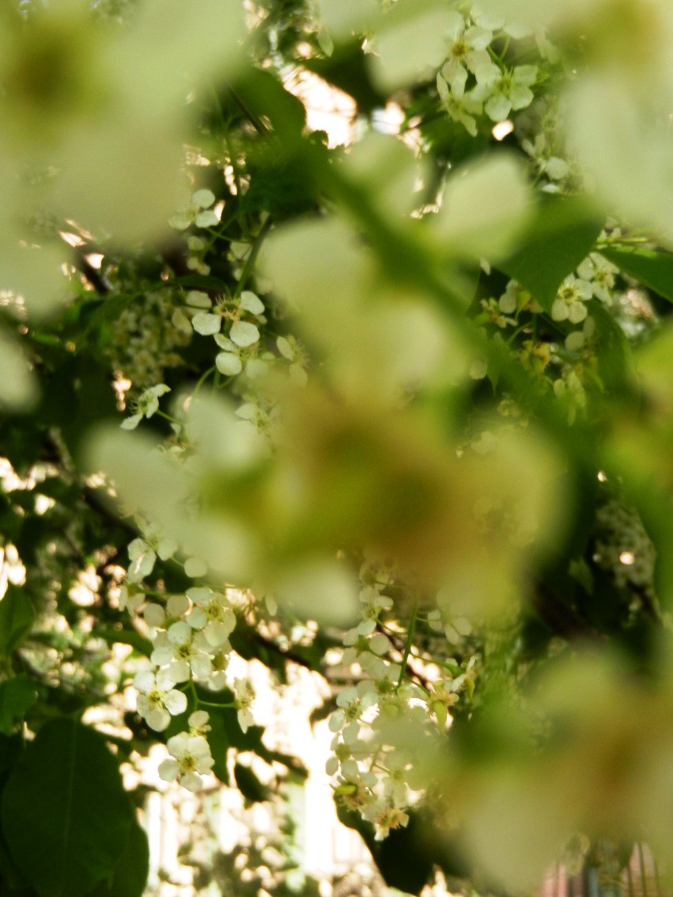 DSCN2773.JPG