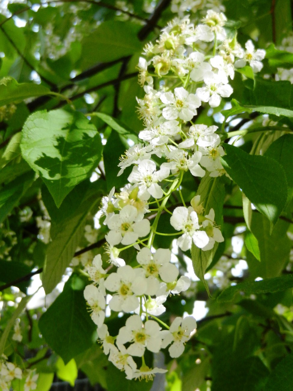 DSCN2776.JPG