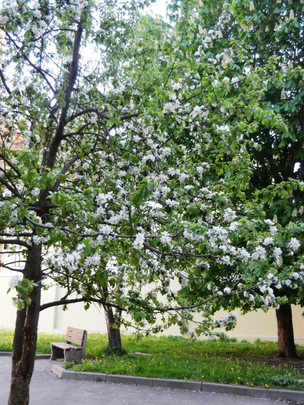 DSCN2779.JPG